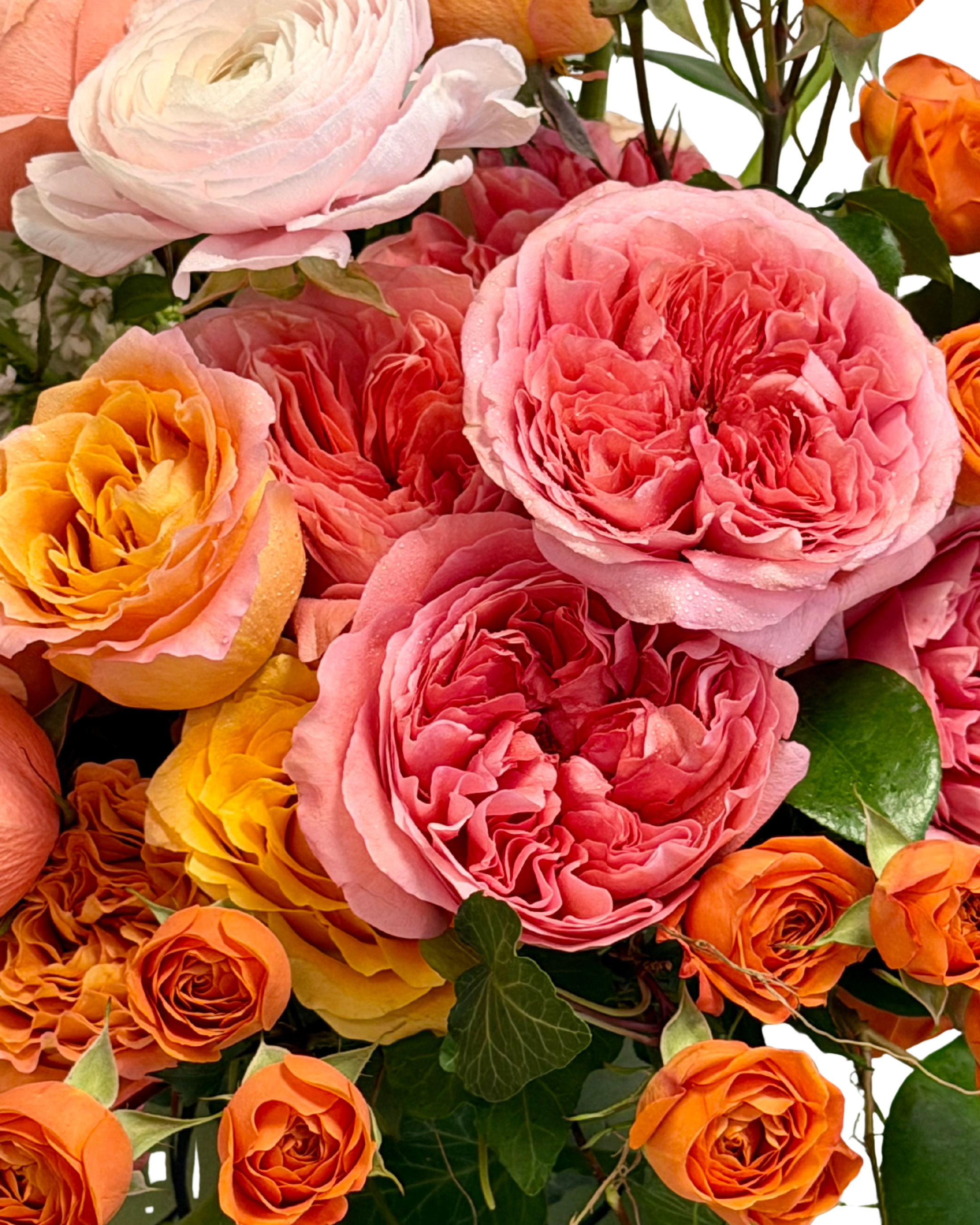 Profusion in Bloom