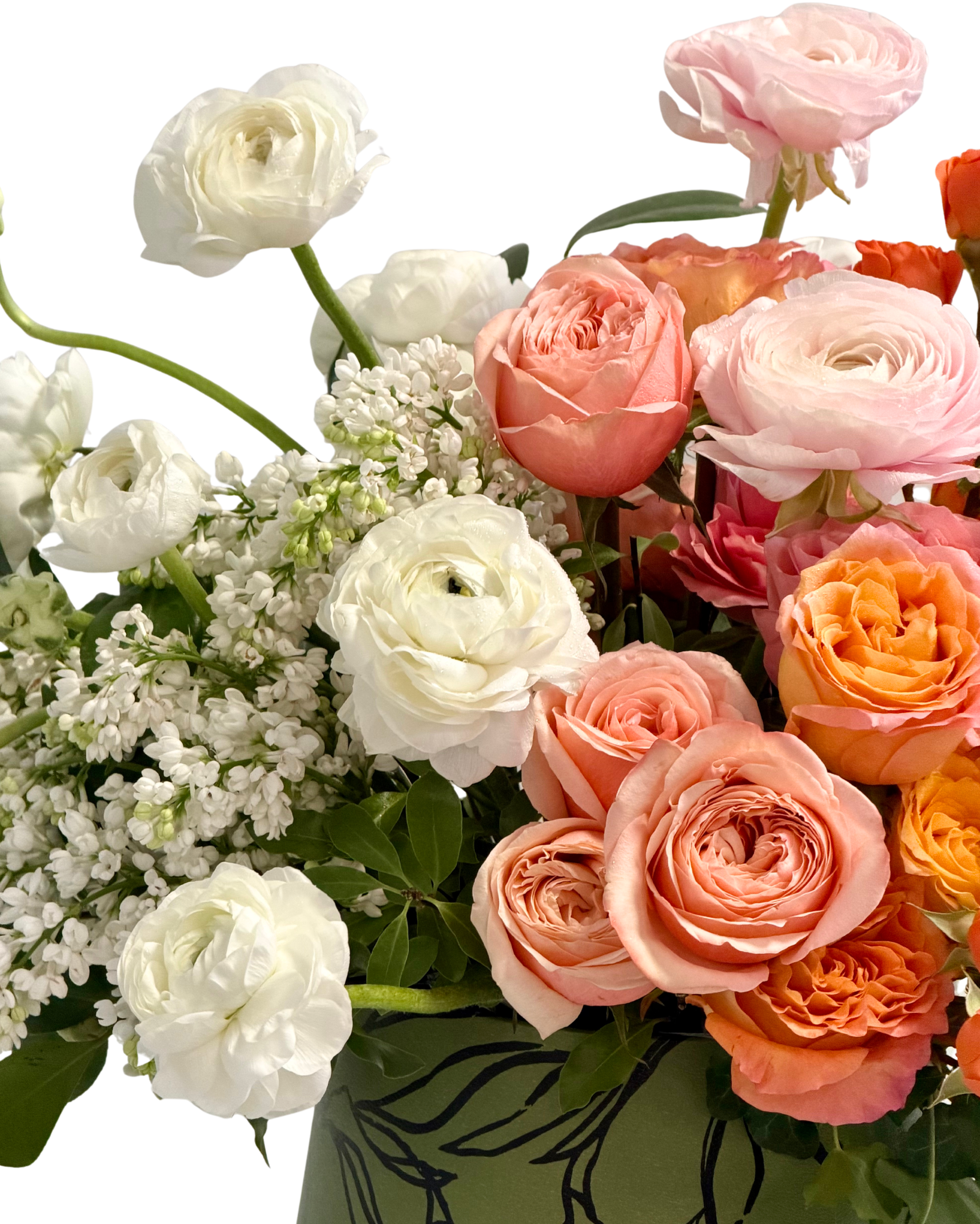 Profusion in Bloom
