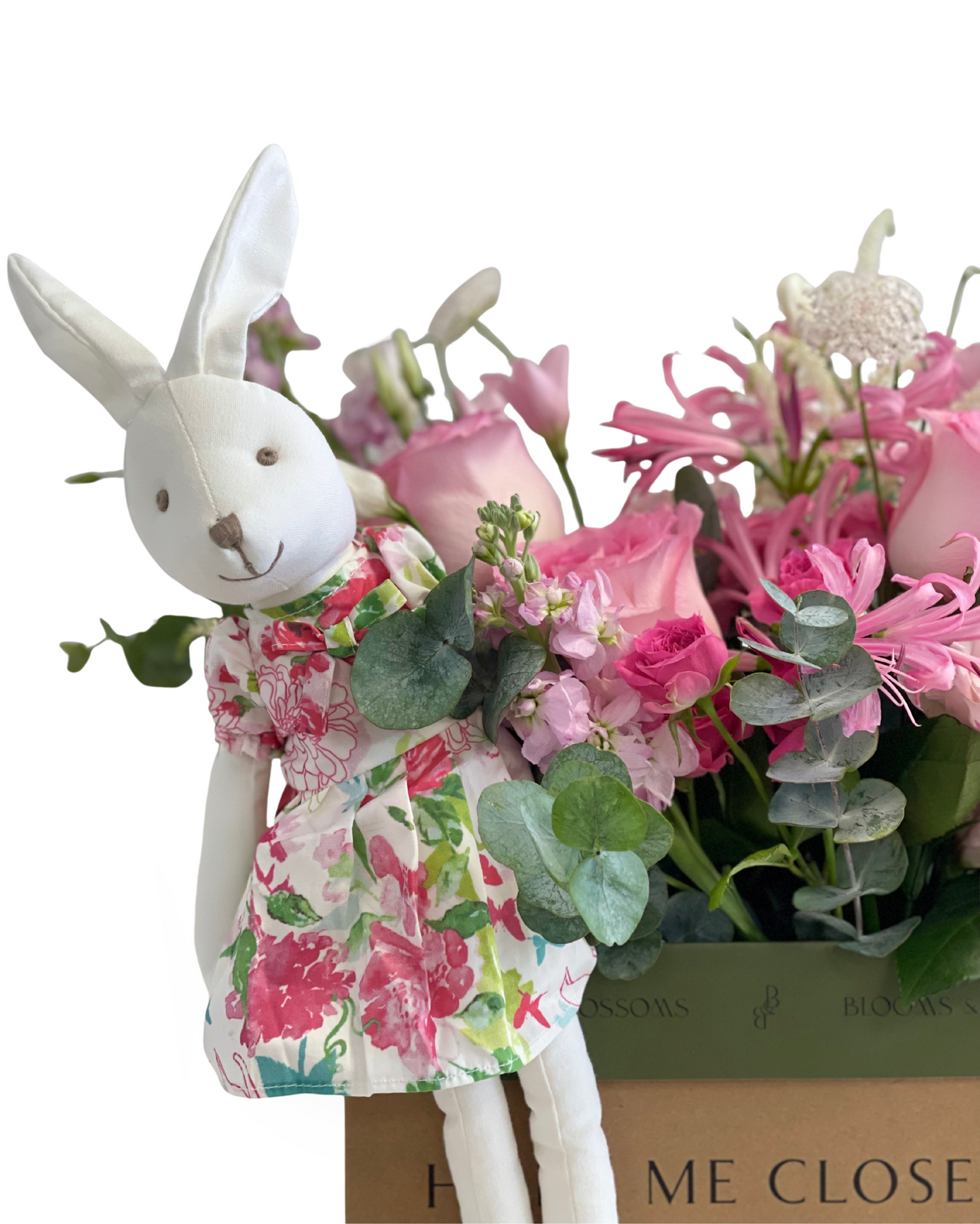 Misthaven Rabbit
