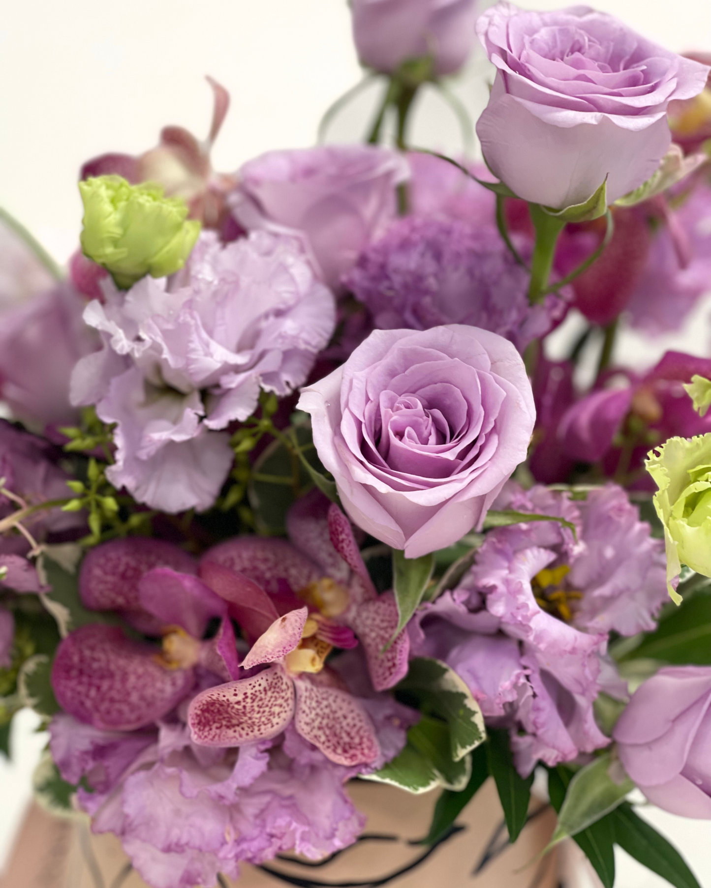 Lavender Lullaby