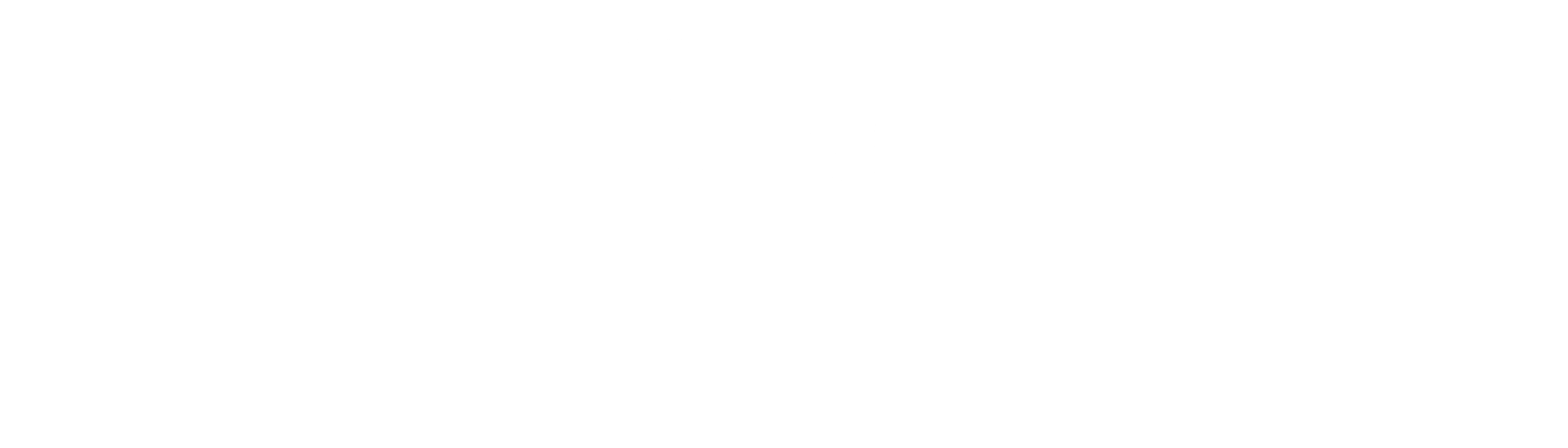 BLOOMS & BLOSSOMS