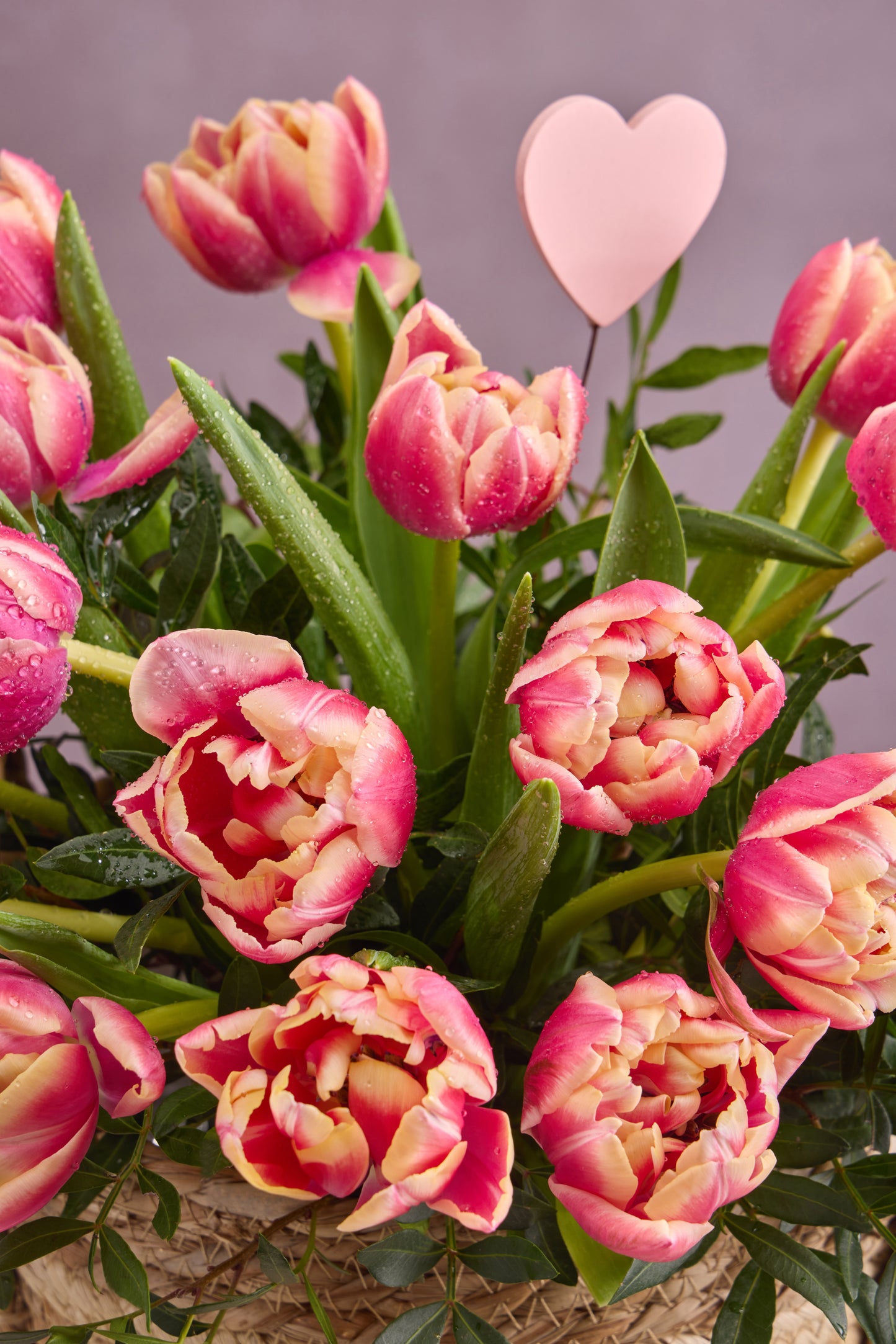 In the Currency of Blossoms