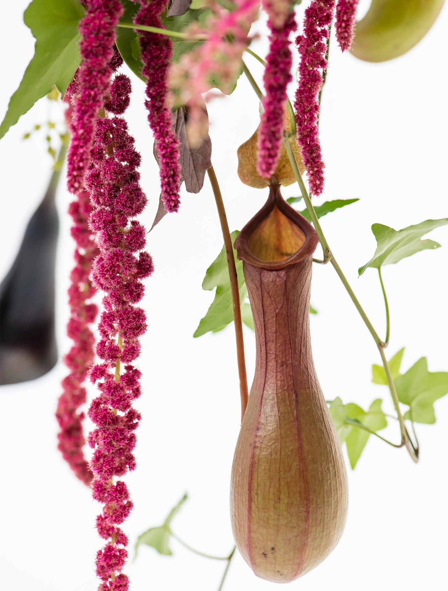 Calla Tiara in vase