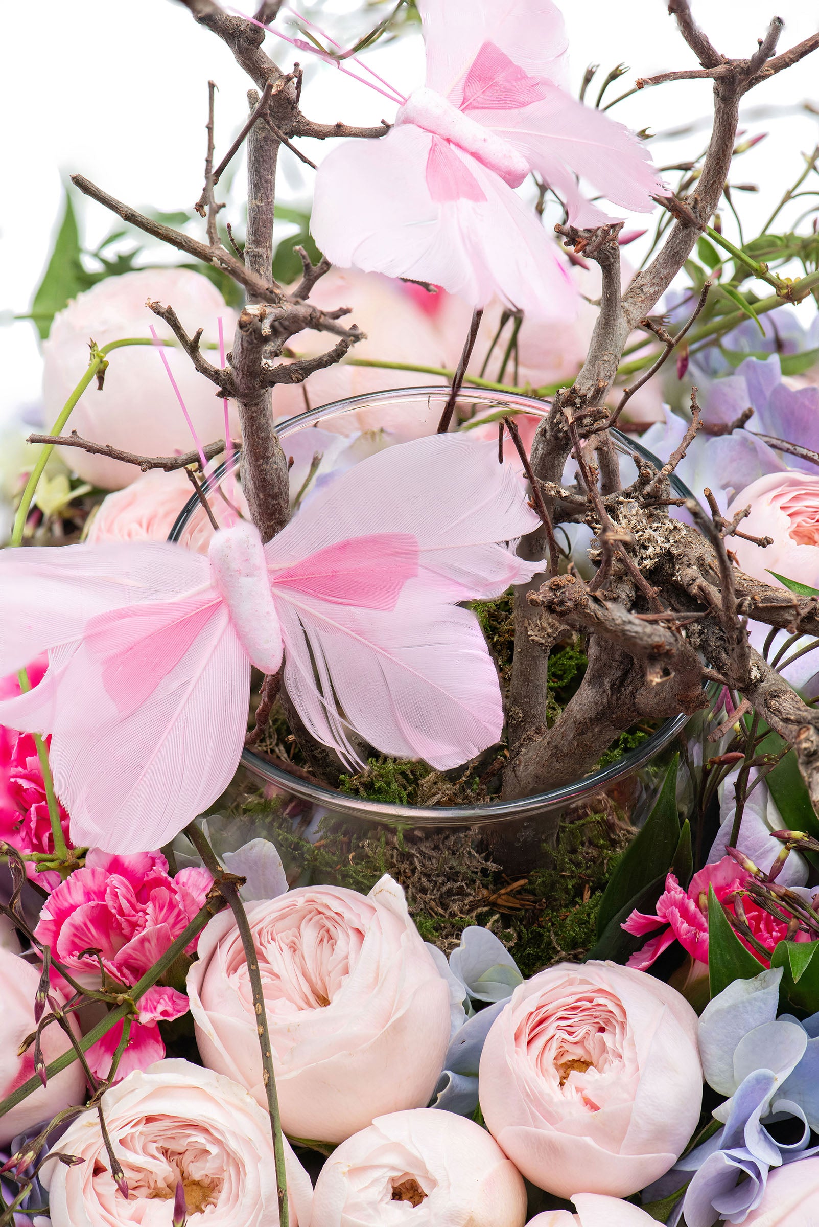 Nest of Grace