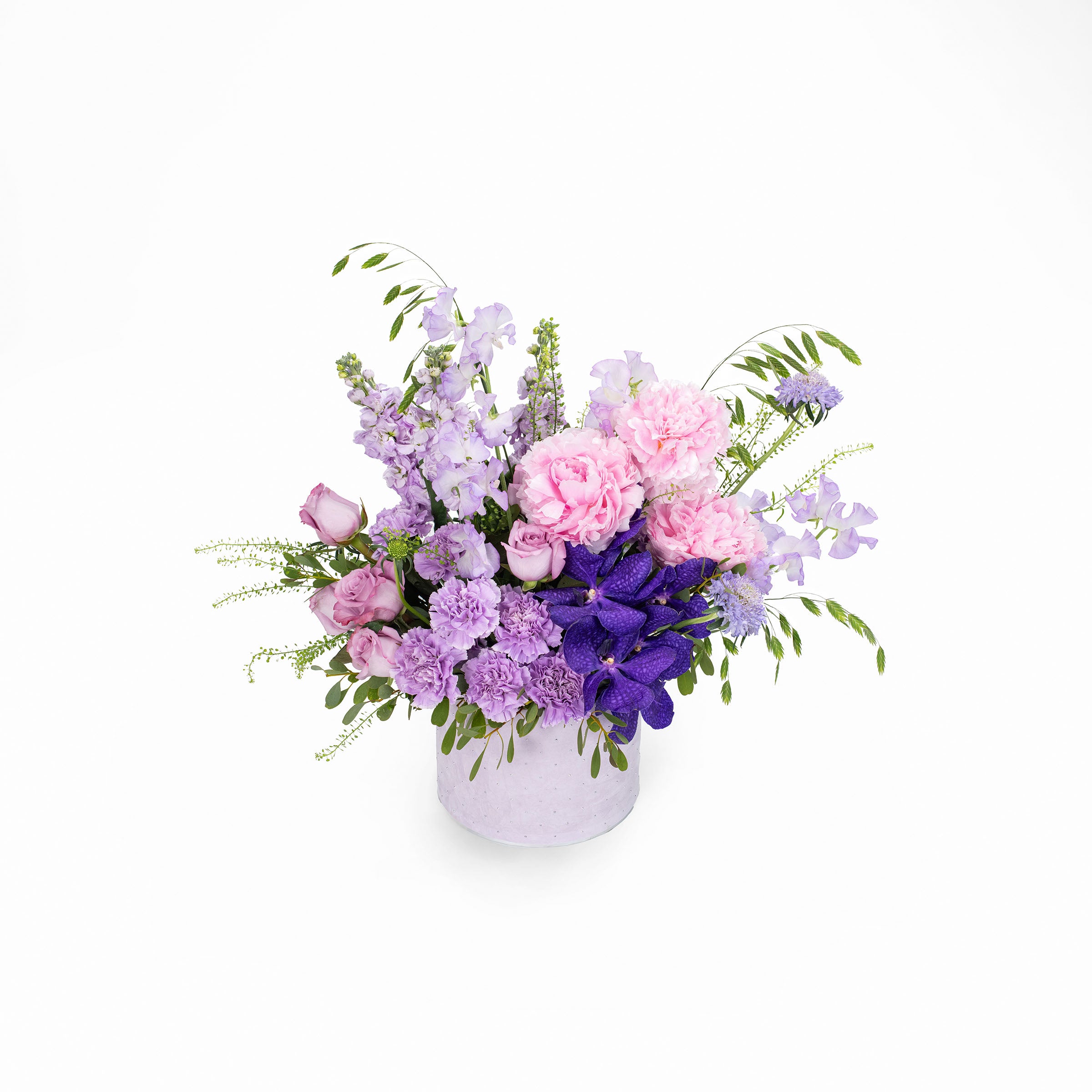 Sweetpea Surprise
