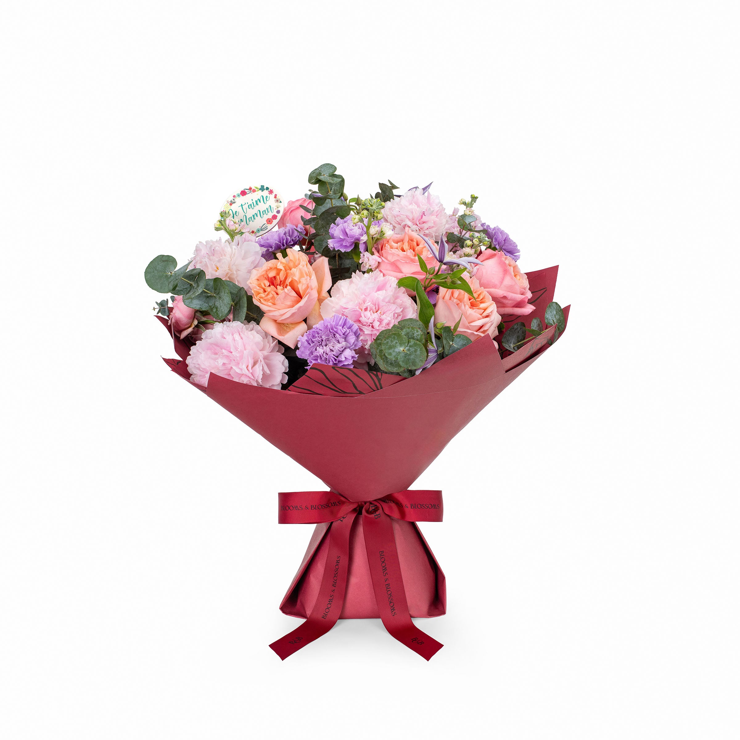Carnation Harmony