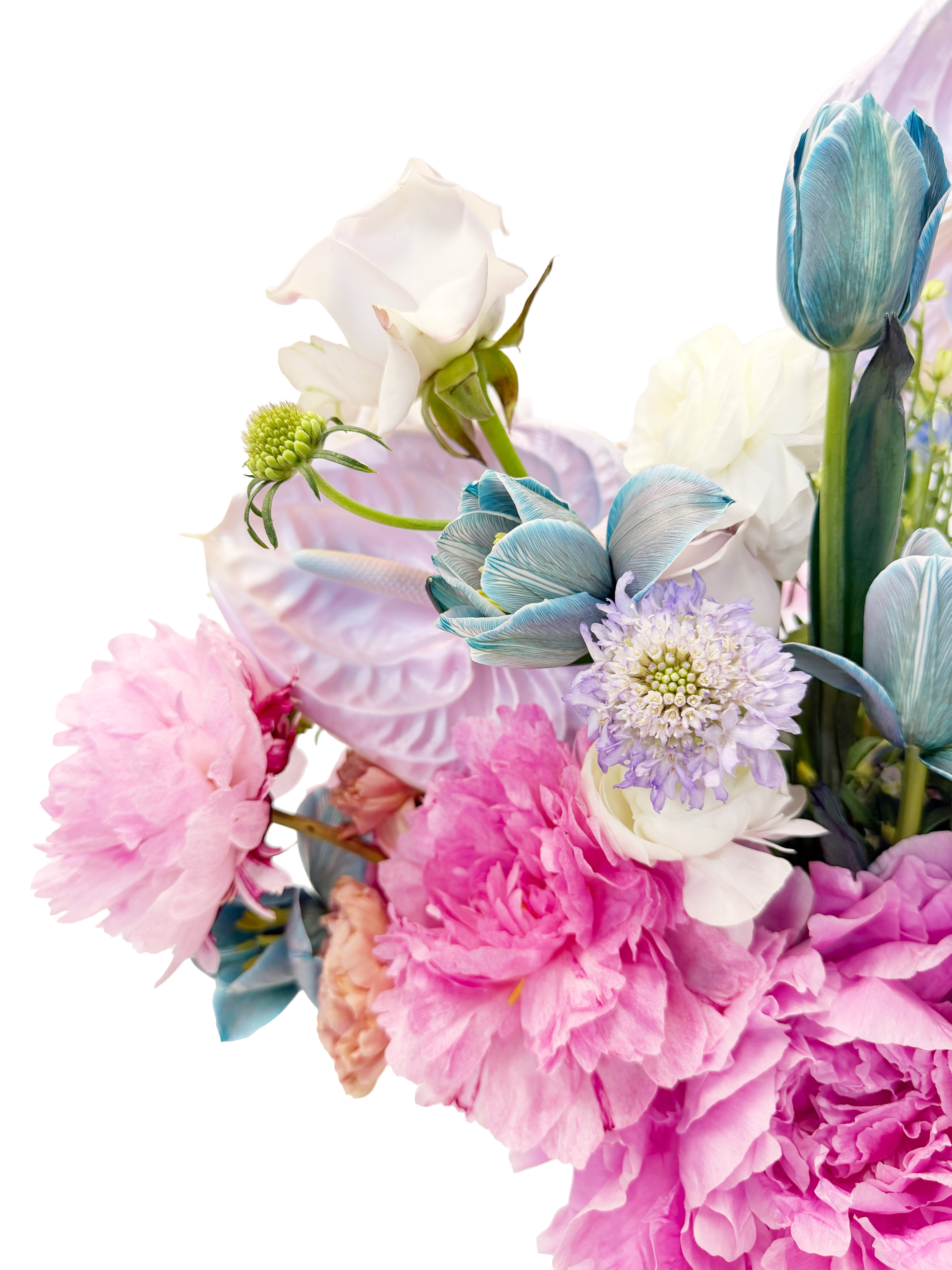 Pearl Romance Pink-Violet