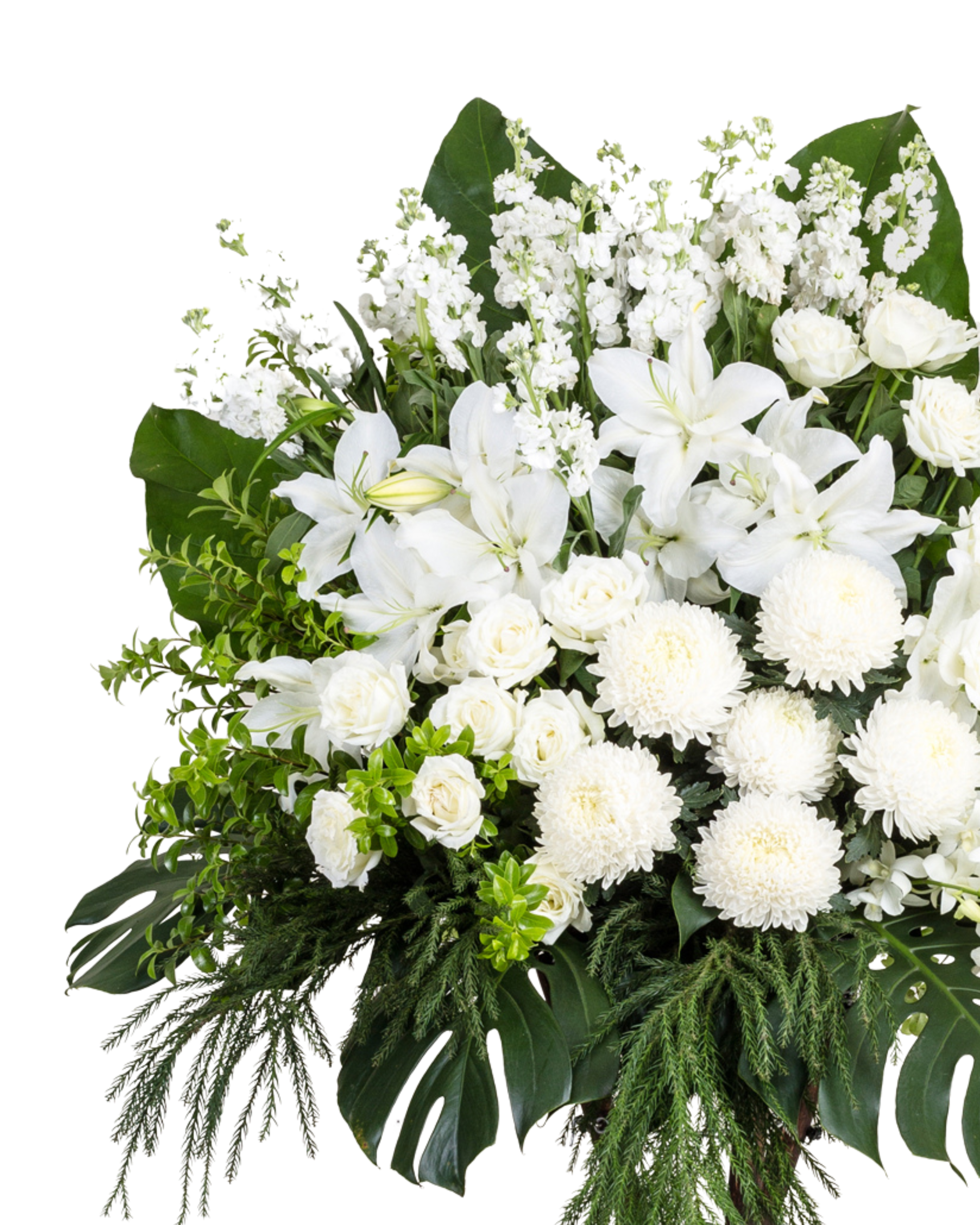 詩意追憶 花牌
