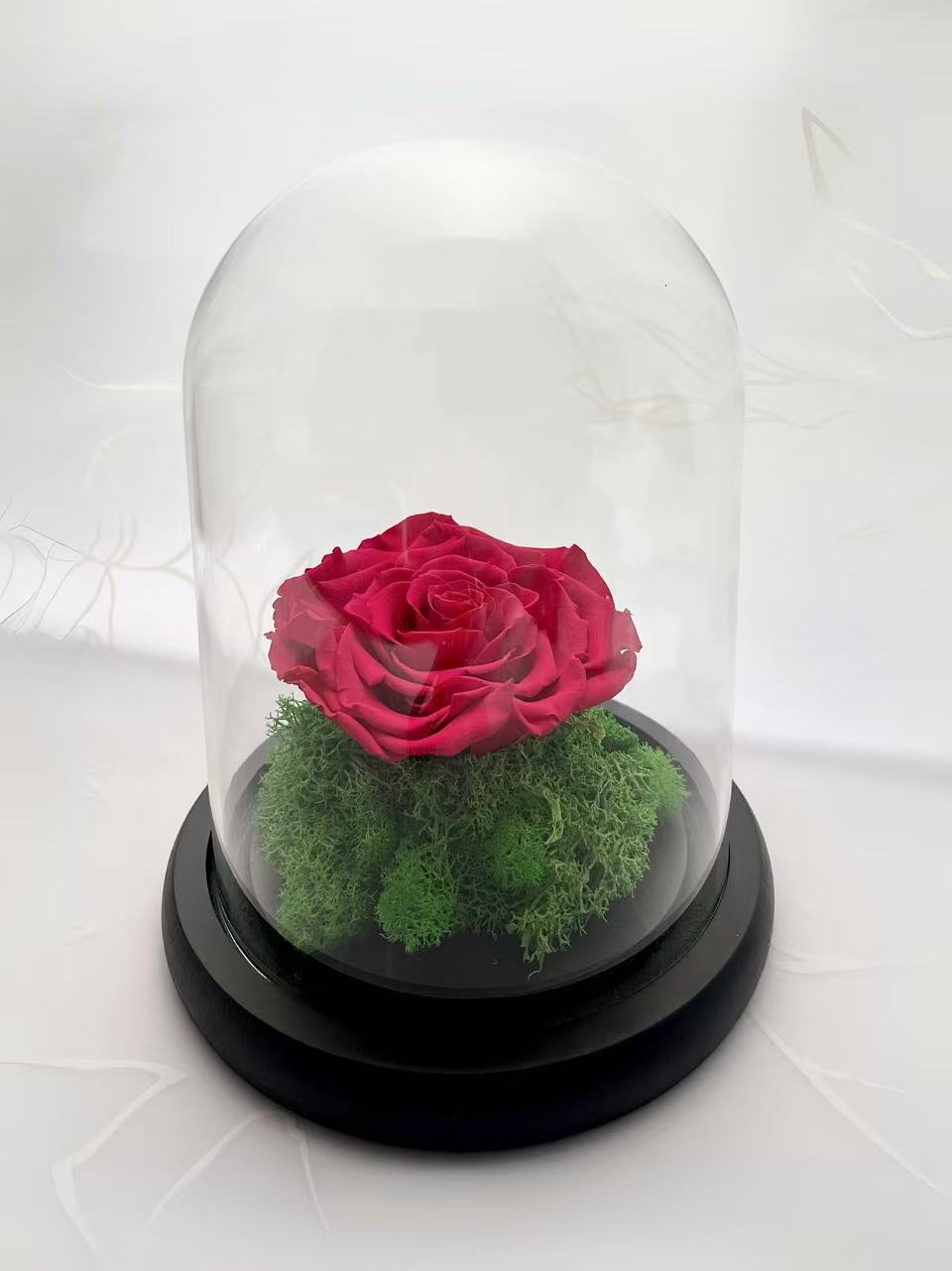 Rose Petal (Preserved)