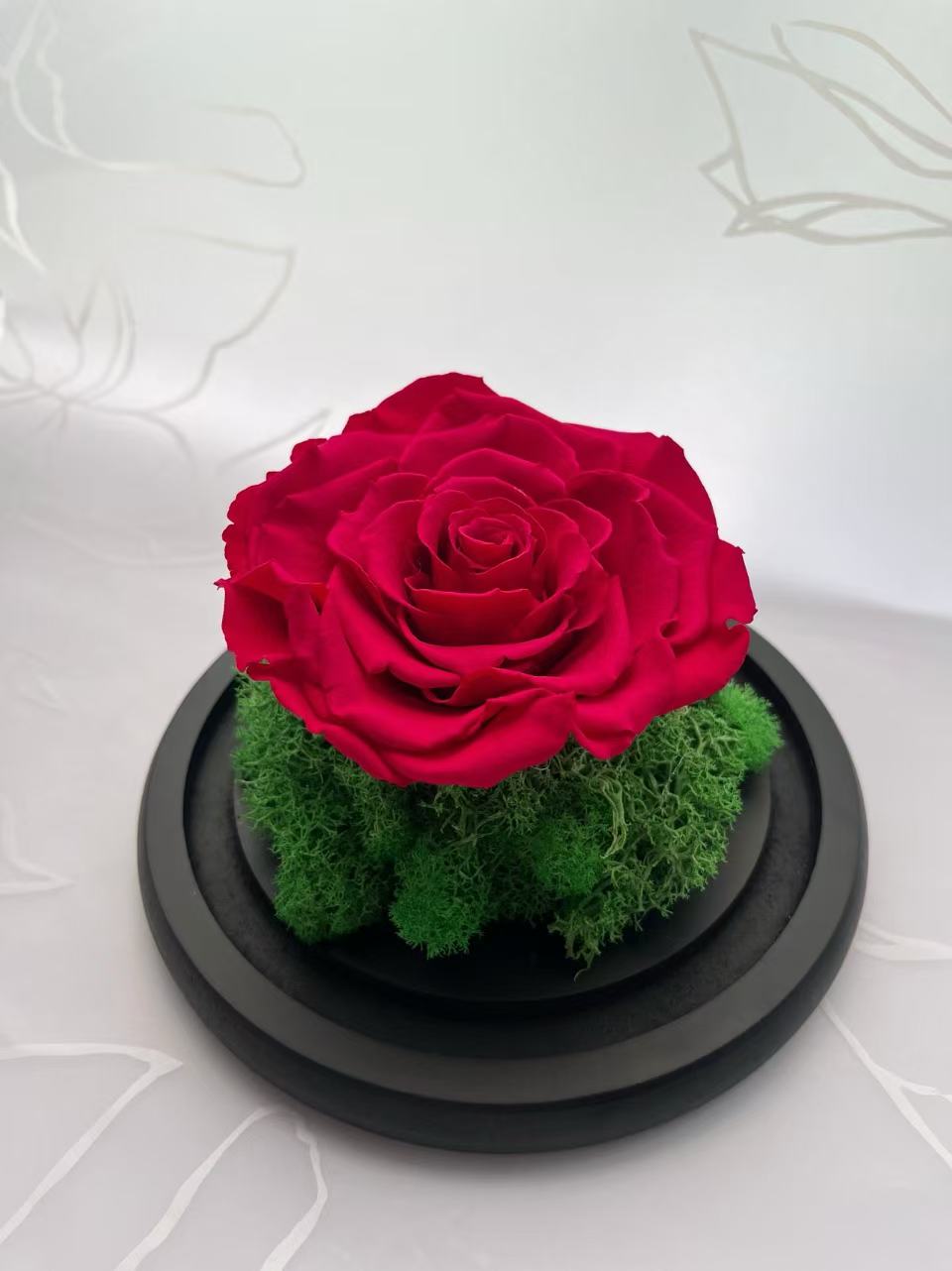 Rose Petal (Preserved)