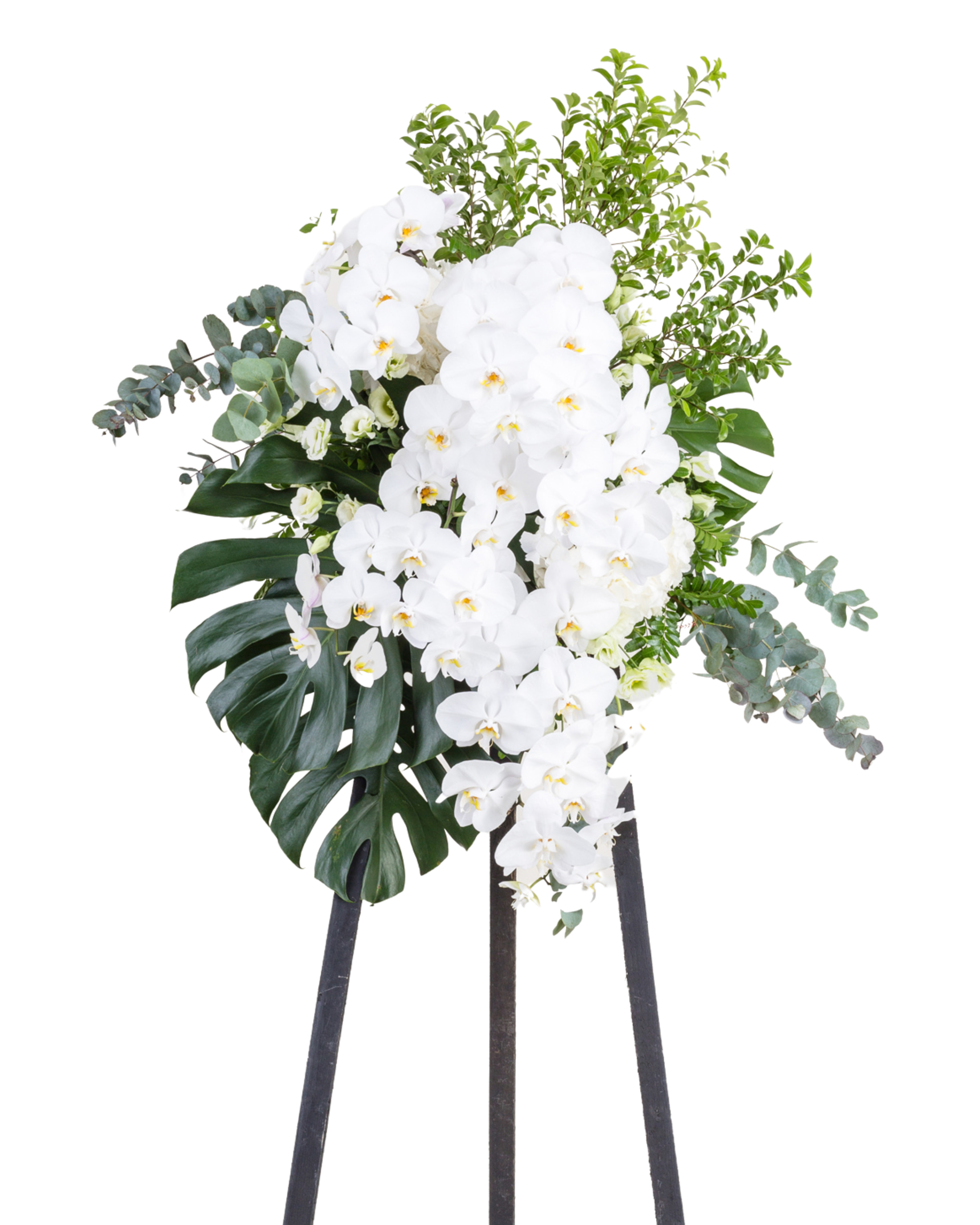 永恆的回憶 花牌