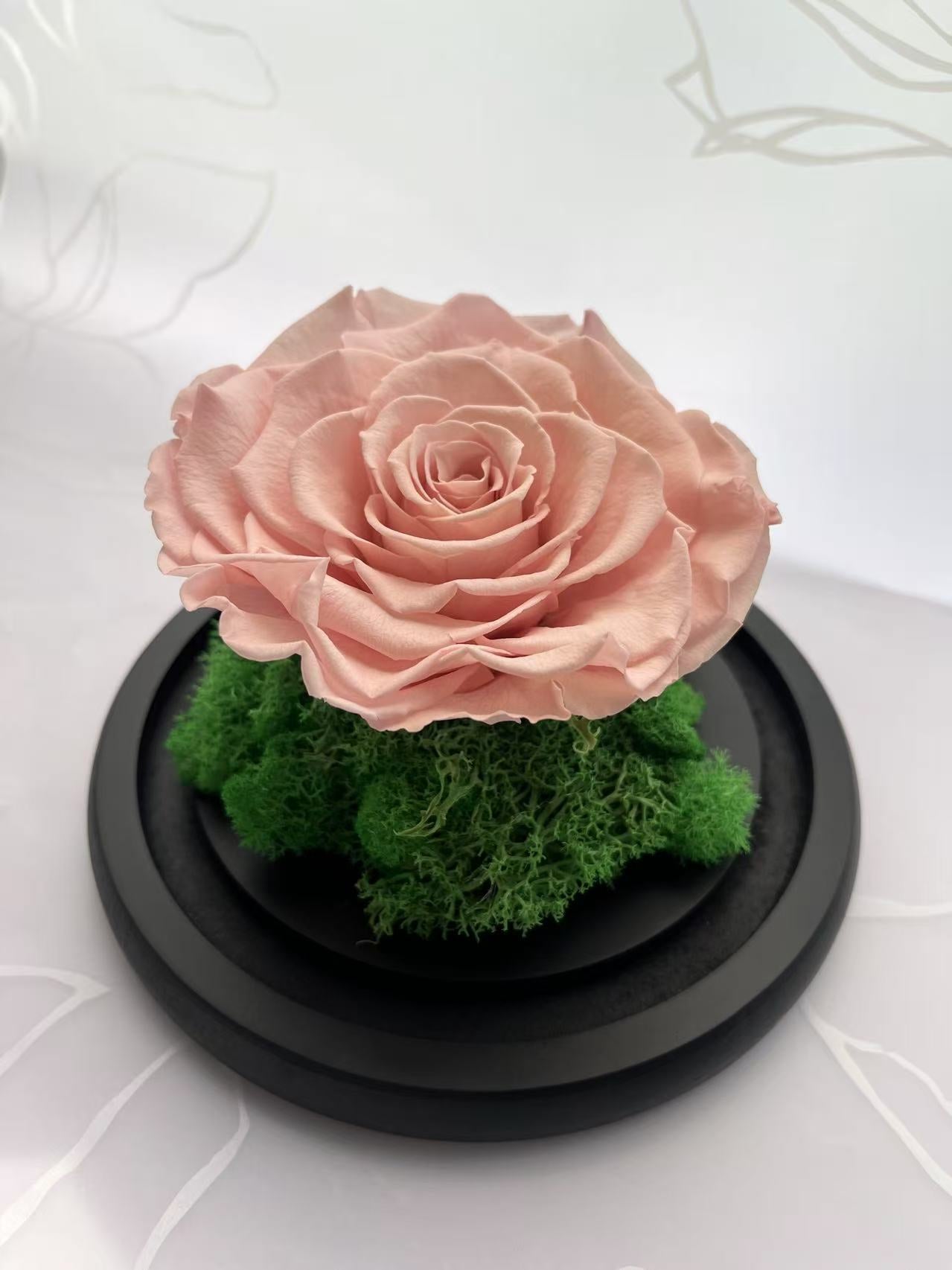 Rose Petal (Preserved)