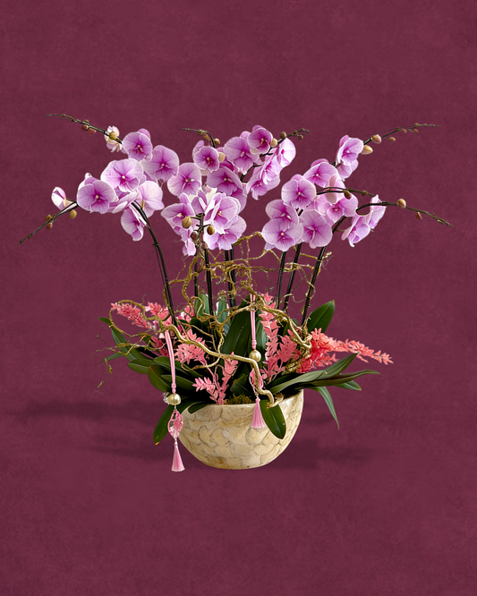 The Poetics of Prosperity