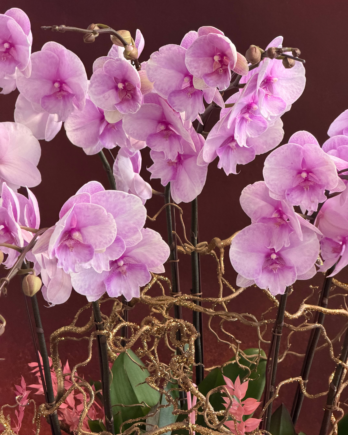 The Poetics of Prosperity