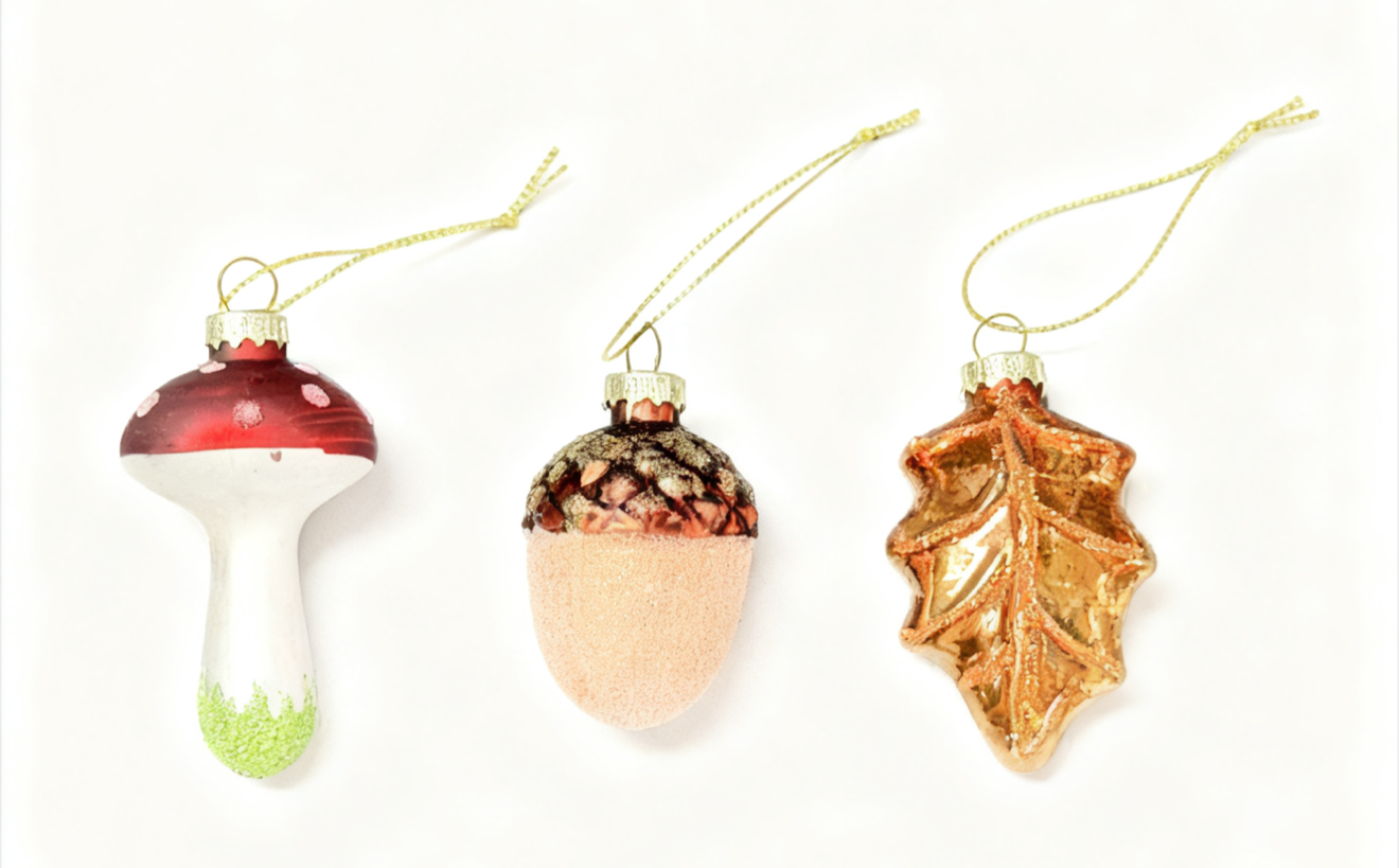 Enchanted Under Glass