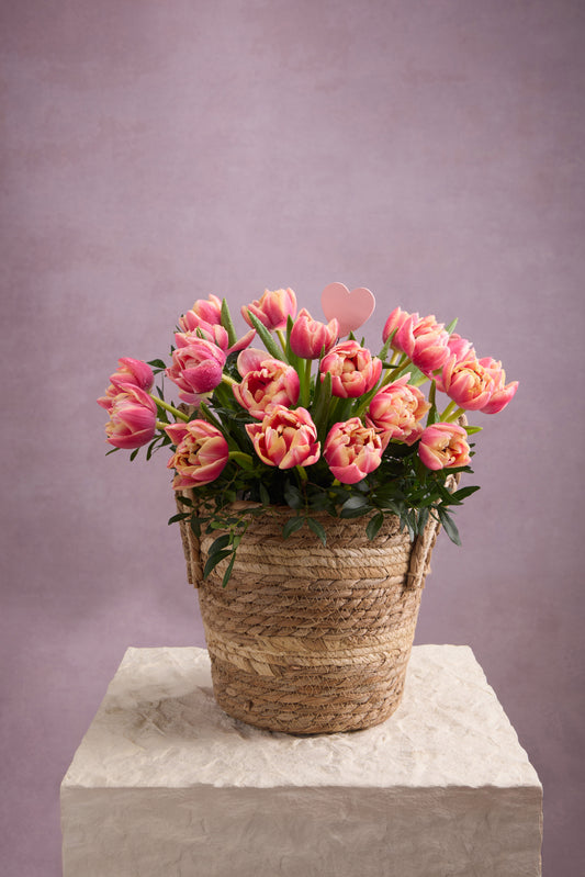 In the Currency of Blossoms