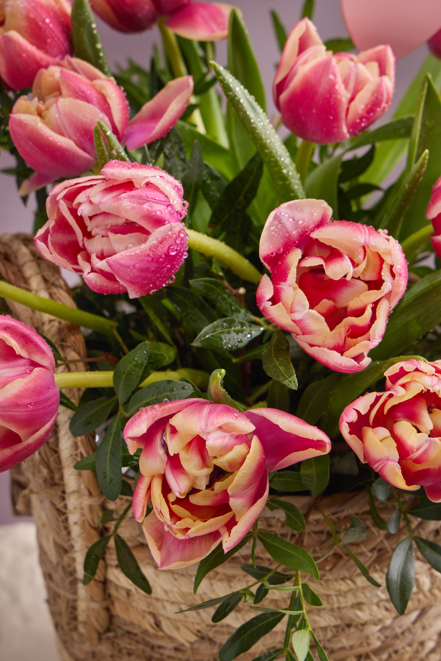 In the Currency of Blossoms