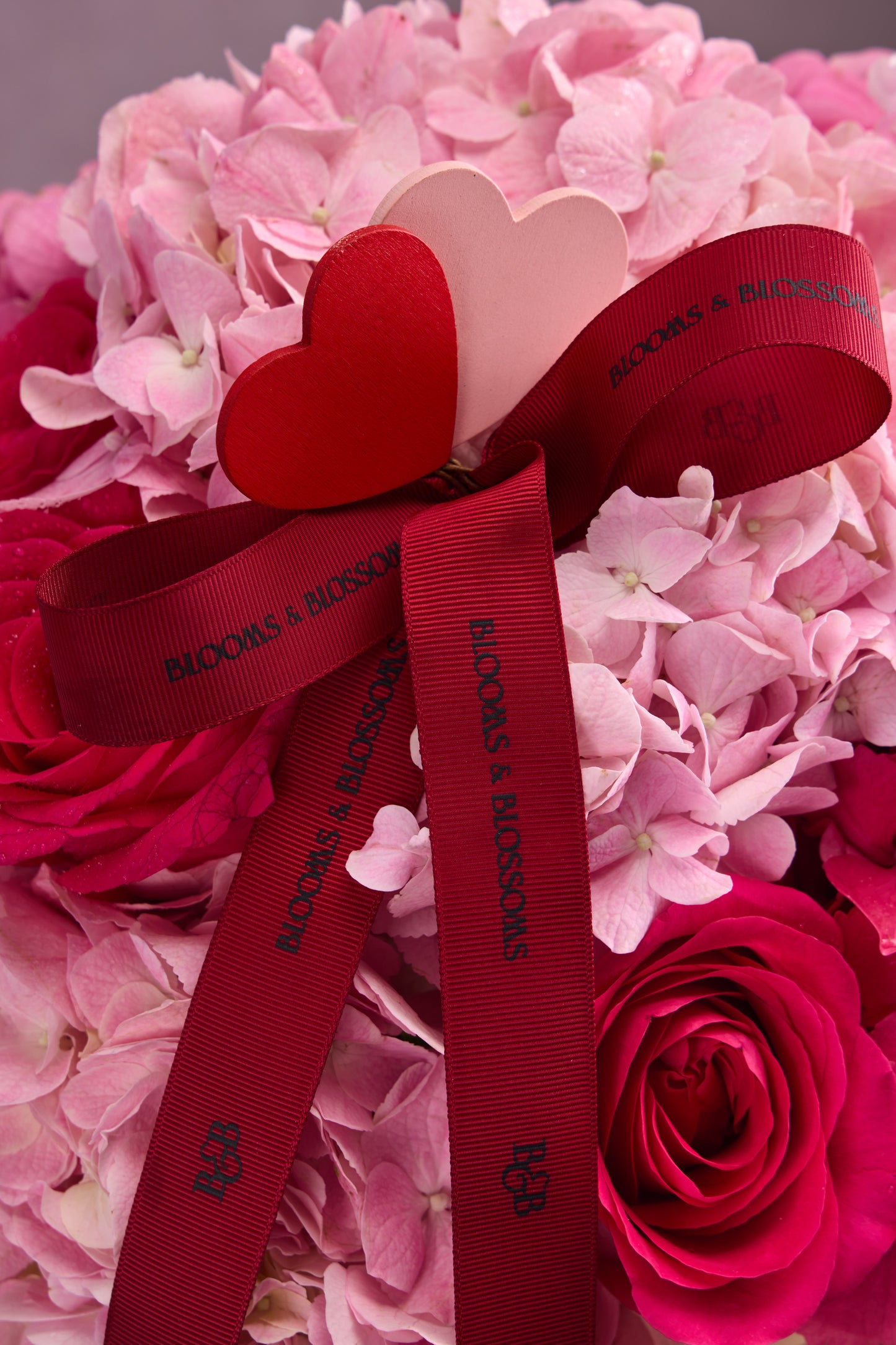 First Blush of Adoration