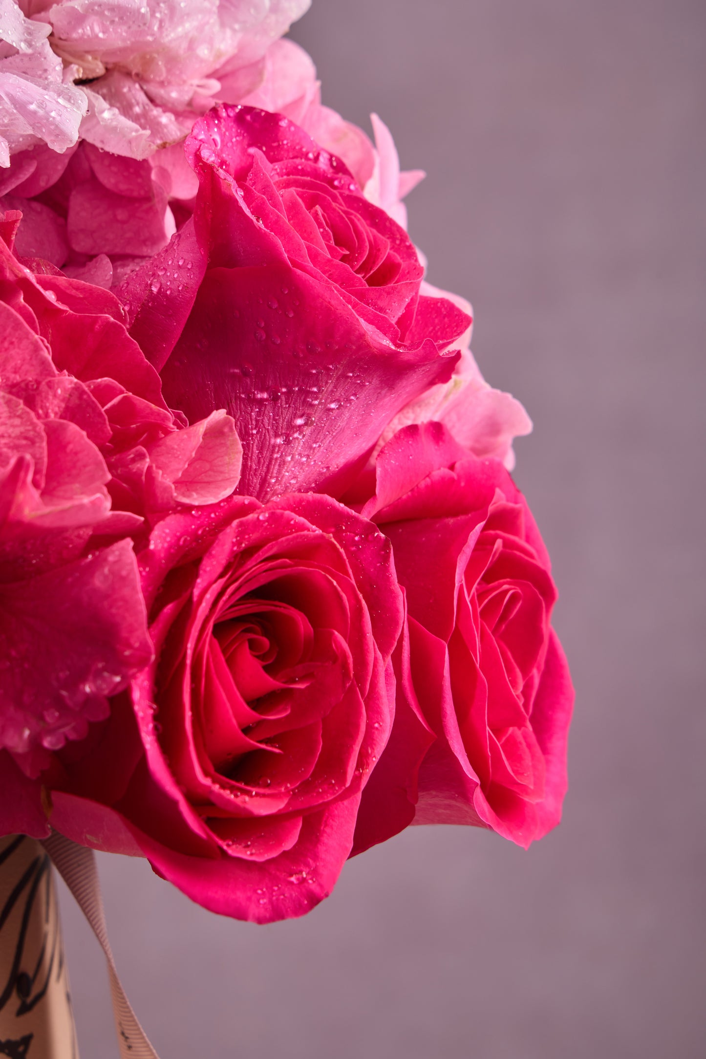 First Blush of Adoration