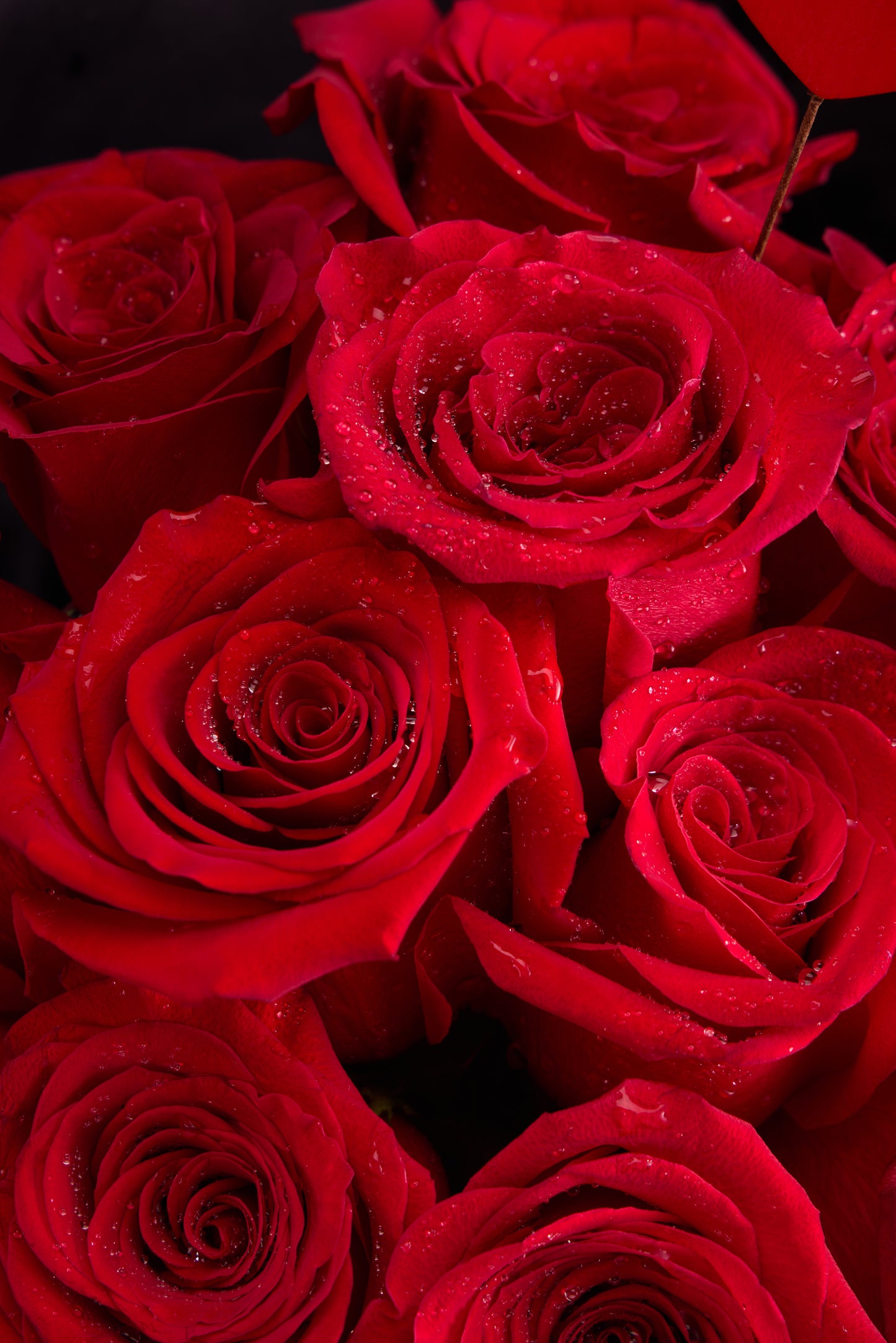 Cupid's Soft Geometry