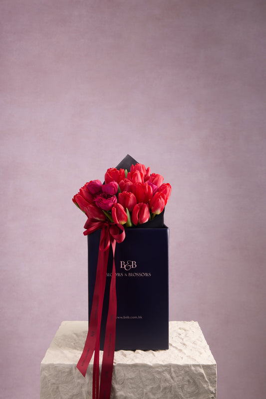 The Plush Manuscript