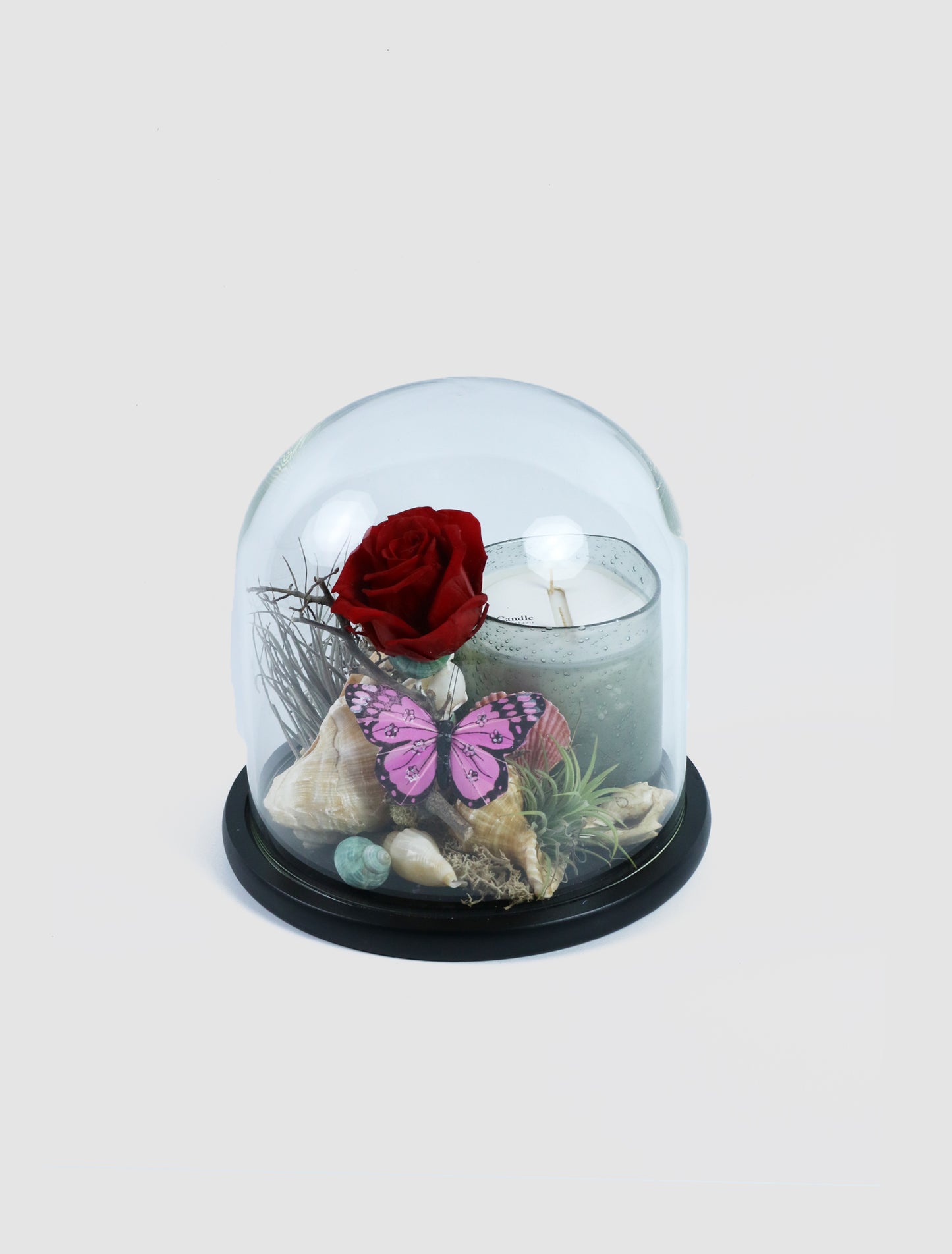 Jardin Rose with Be-candle (Preserved)