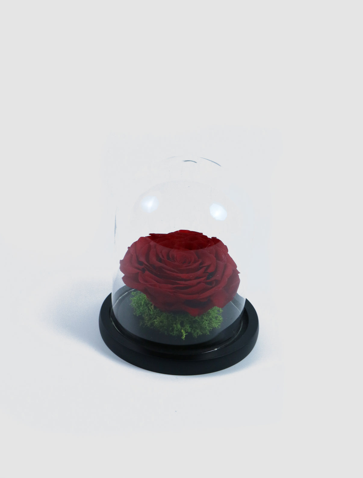 Rose Petal (Preserved) – BLOOMS & BLOSSOMS