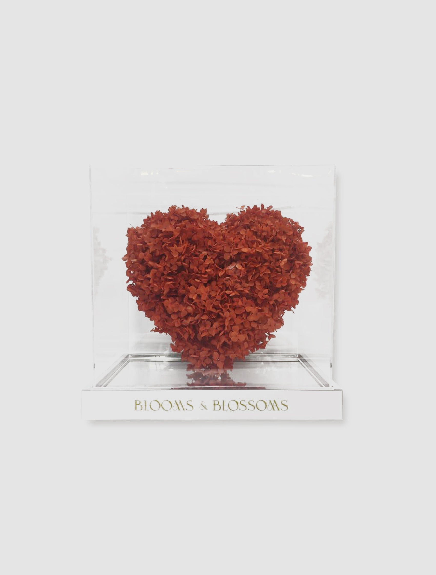 Enchanted Heart (Preserved)