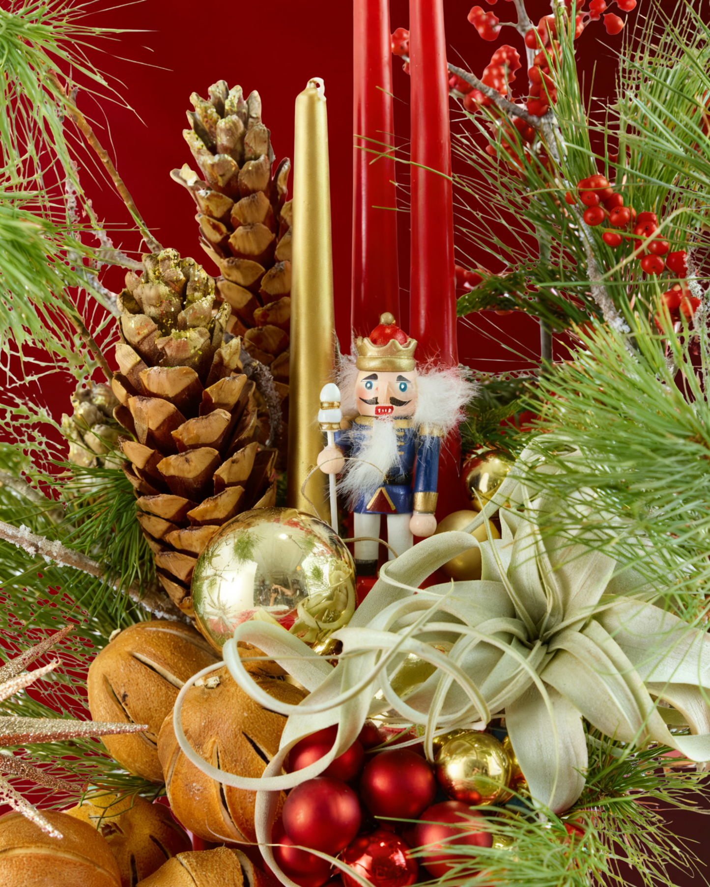 The Nutcracker's Dream