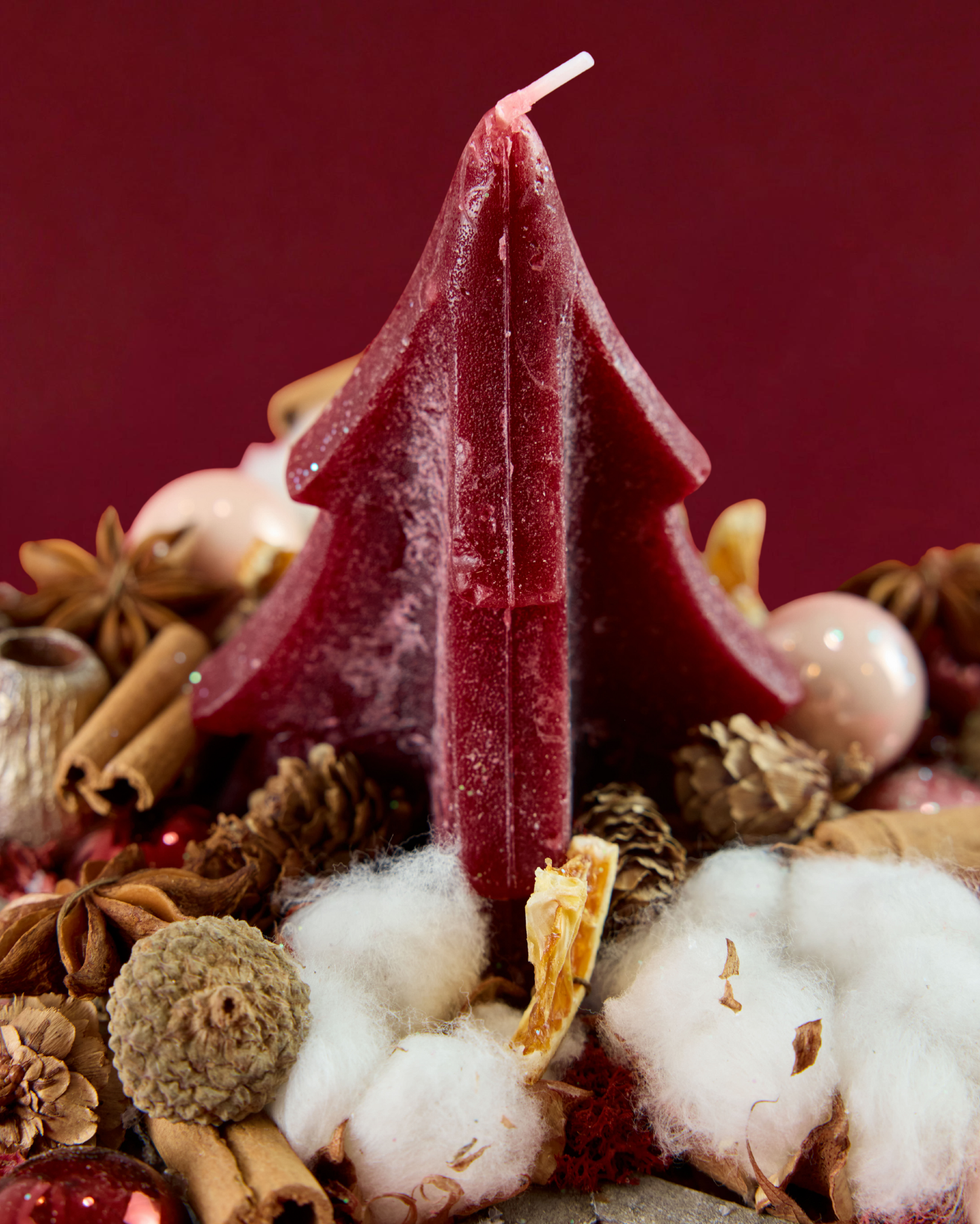 The Starfall Gathering