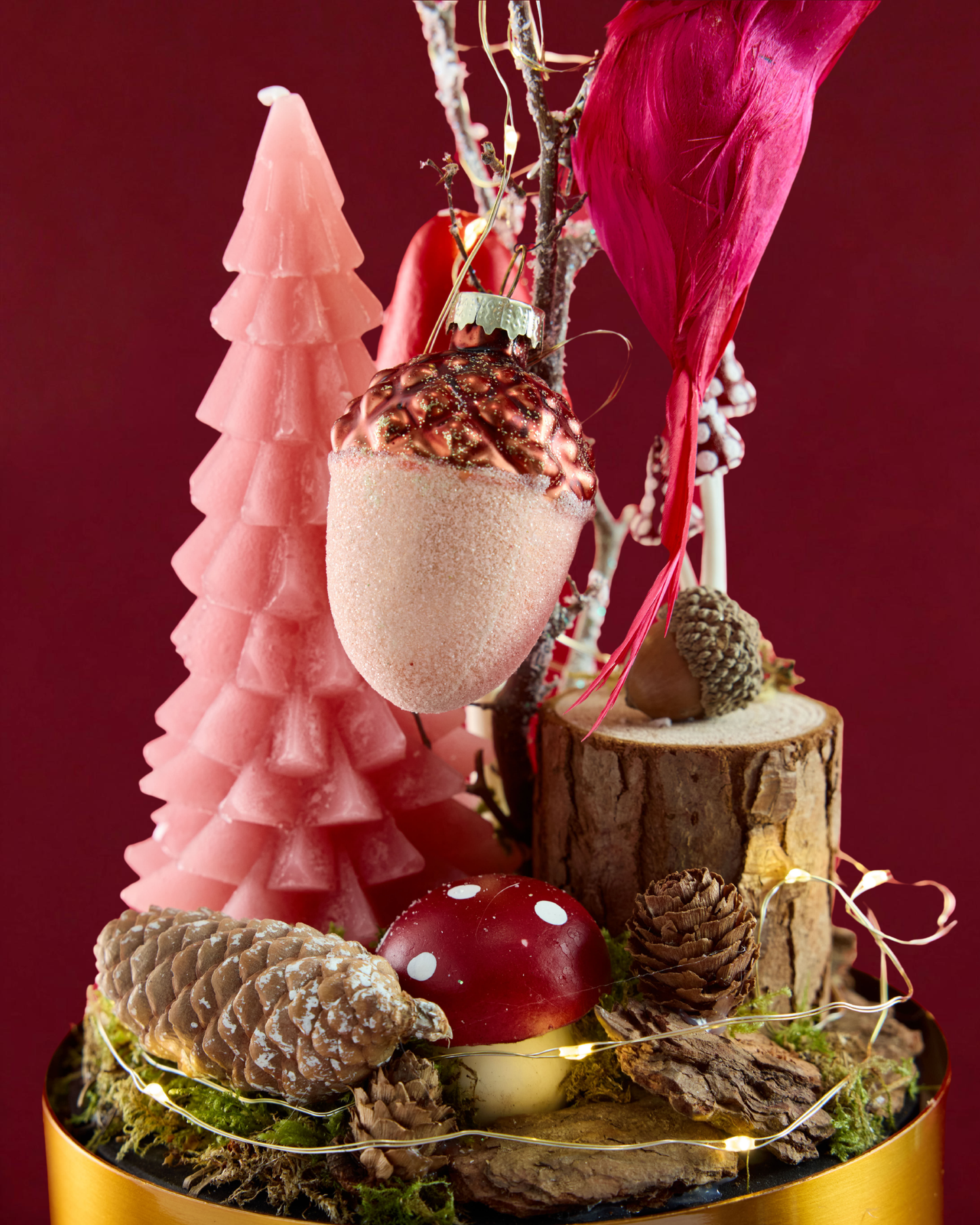 Enchanted Under Glass