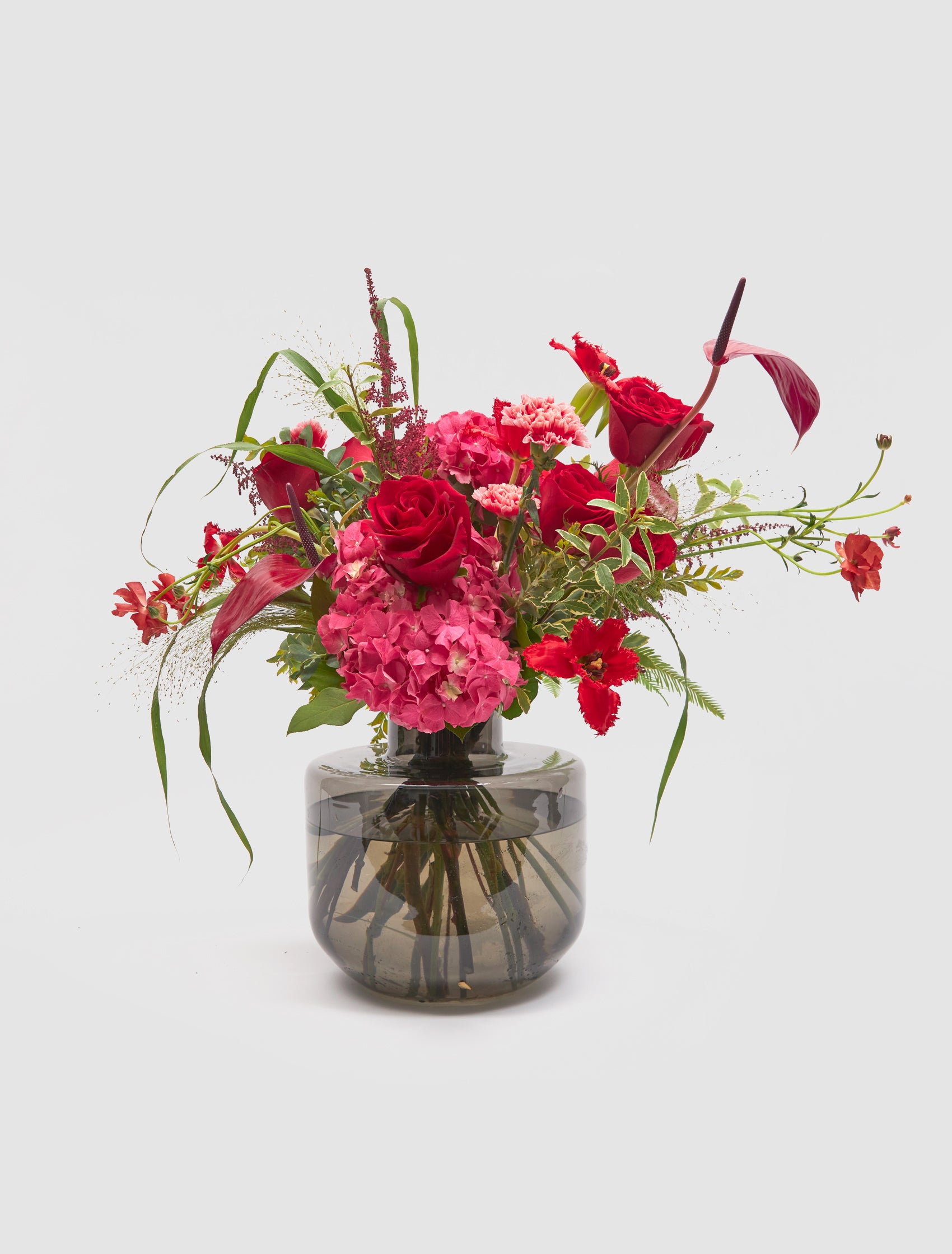 Radiant Roses – BLOOMS & BLOSSOMS